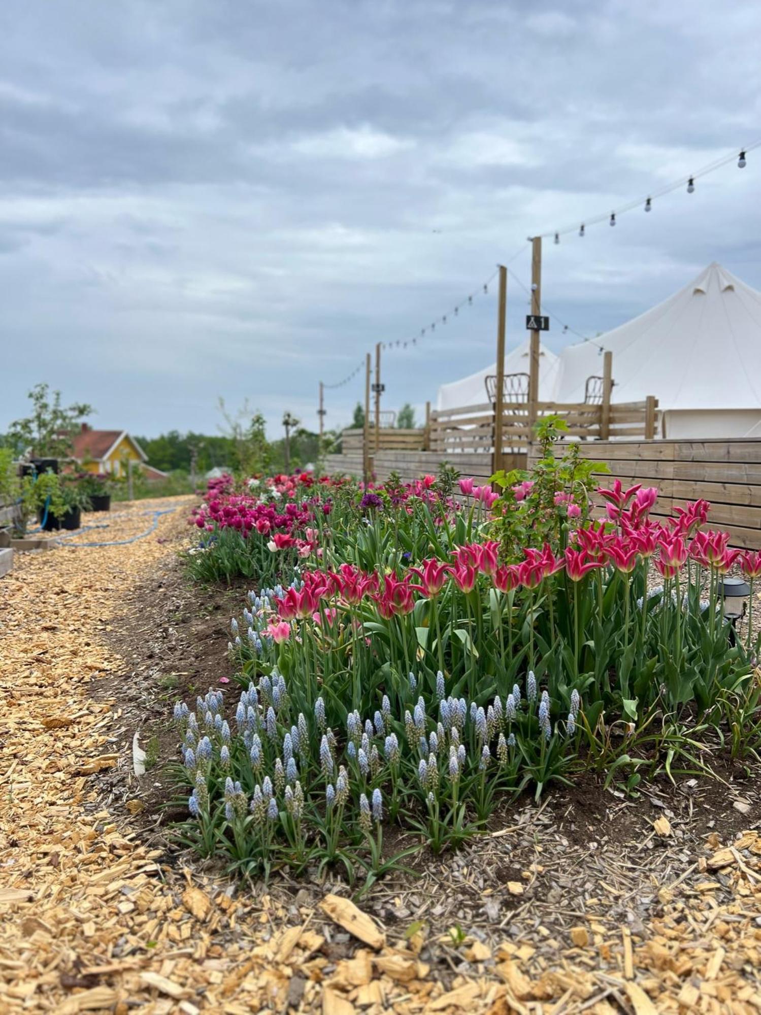 Vaettervy Glamping Hotel Habo Exterior foto