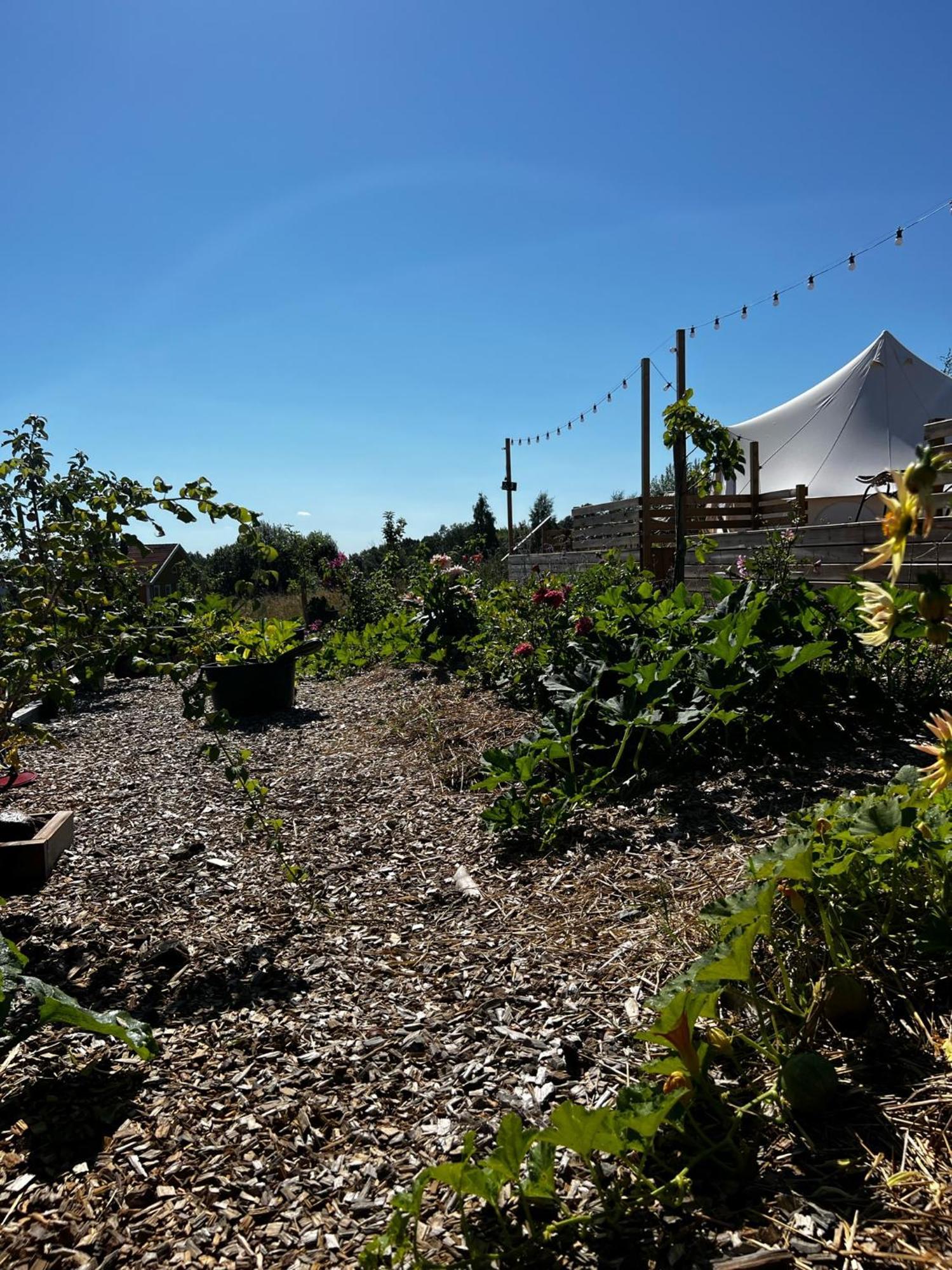 Vaettervy Glamping Hotel Habo Exterior foto