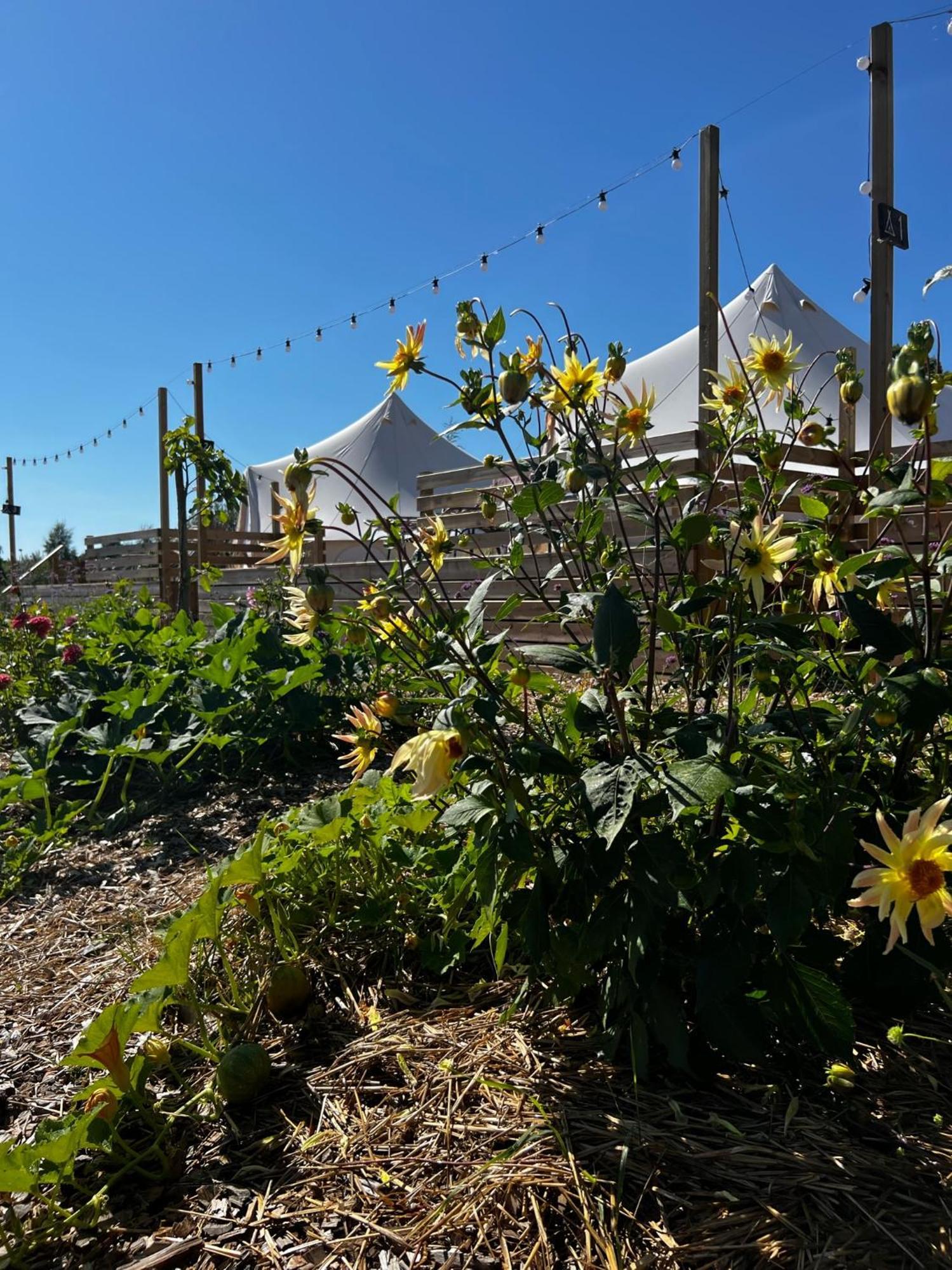 Vaettervy Glamping Hotel Habo Exterior foto